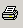 print icon