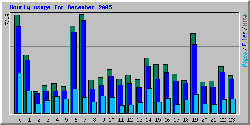 Hourly usage for December 2005